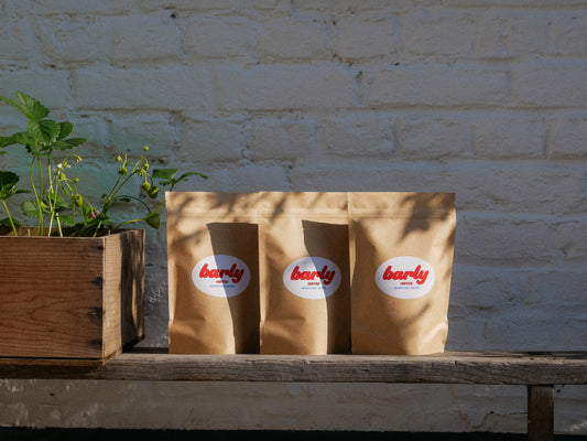 Pack BARLY - 3 x 200g
